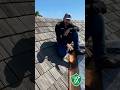 BRAVA Synthetic Shake Roof Installation on Anna Maria Island #roofinginnovation #roofing #roofer
