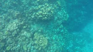 GOPR0045