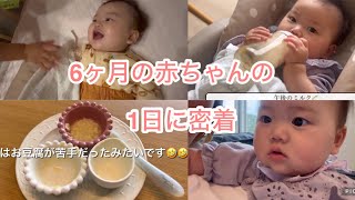 【1日に密着】6ヶ月の赤ちゃんの1日に密着離乳食は食べてくれる歯も生えてきたよ3人育児奮闘中