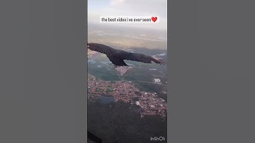 سورة تبارک : القاری بلال دربالی 🧡 Surah Al-Tabarak: Al-Qari Bilal Darbali 🧡