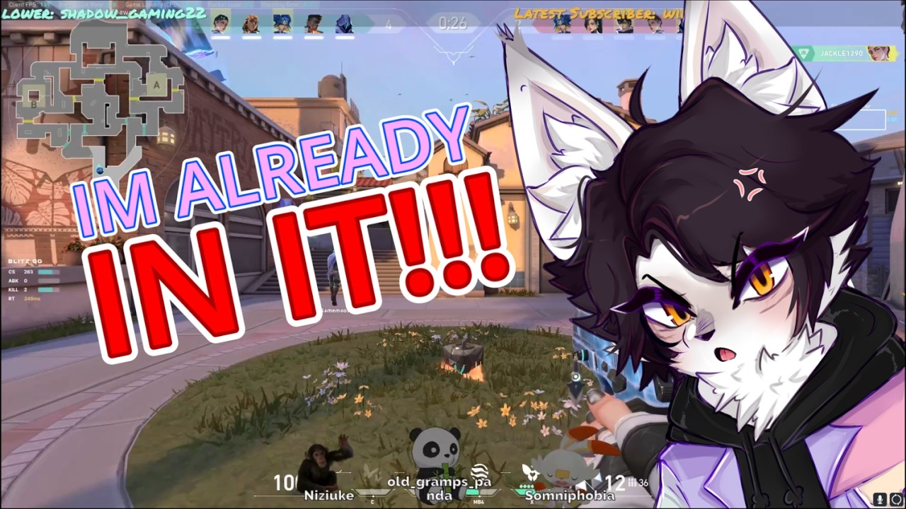 he did WHAT  |  Jackle1290 stream highlights!~