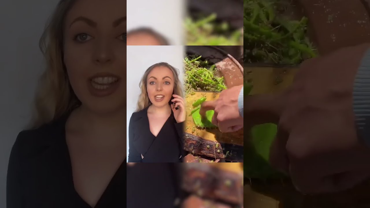 Always Ruining Her Afternoon Fyp Comedy Thingsmumsdo Britishmums Viral Mumsbelike