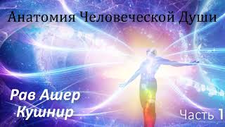 Анатомия Человеческой Души 1