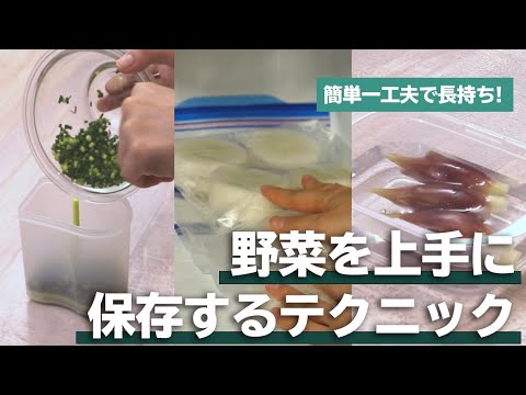 簡単一工夫で長持ち！野菜を上手に保存するテクニック