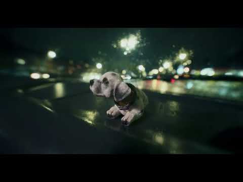 LosPetitFellas - Hecho Perro