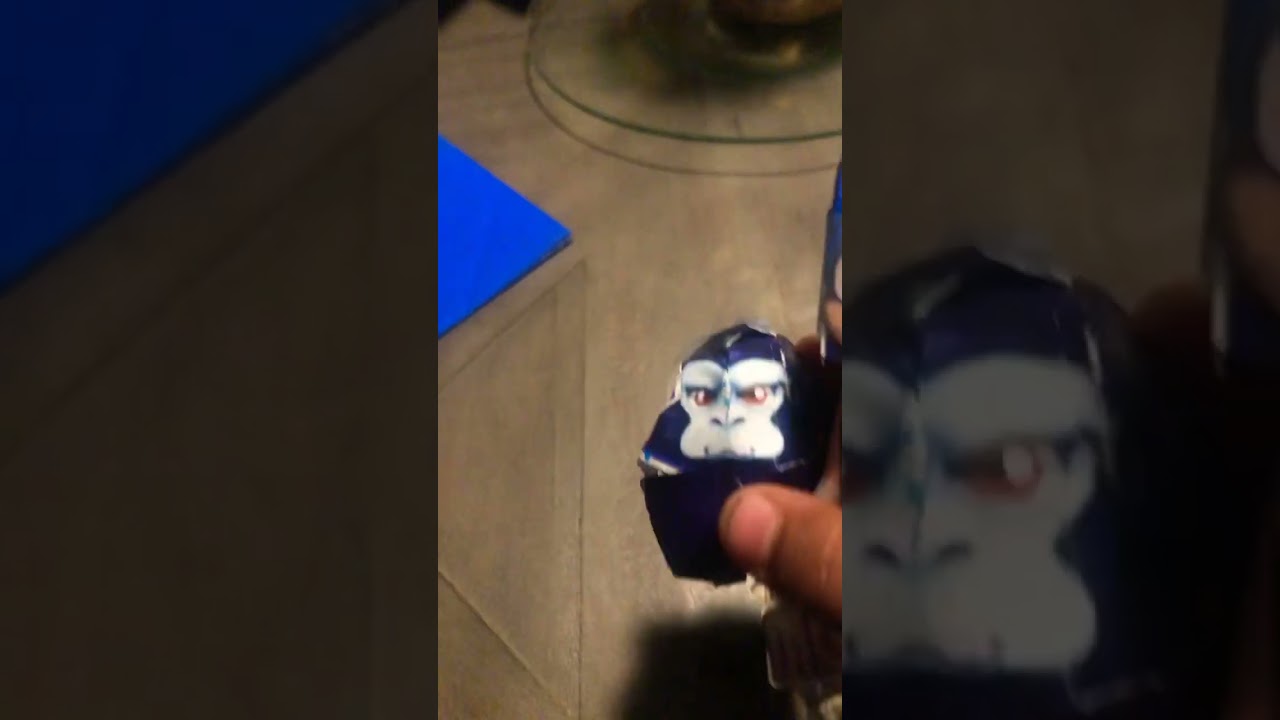 Sonic and his munkae