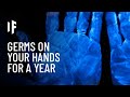 What If You Didn't Wash Your Hands for a Year?