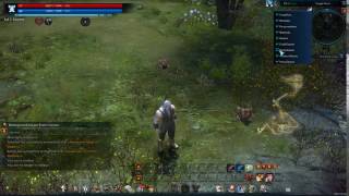 How To Track Daily Quests In Tera