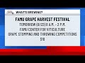 What's Brewing - FAMU Grape Harvest Festival