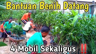 ALHAMDULILLAH AKHIR NYA DATANG JUGA‼️BIBIT YG DI TUNGGU2 DATANG || BANTUAN PEMERINTAH