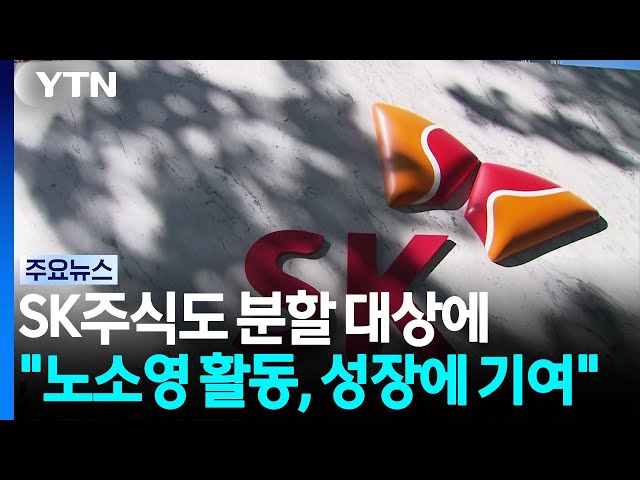 SK주식도 분할 대상에..."노소영 활동, 성장에 기여" / YTN