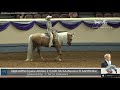 2020 Youth & Mid Summer Horse Show - AWPA Equine Athlete $15,000 HA Western Pleasure AAOTR