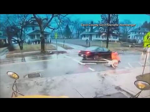 Hero Central | Crossing guard struck by car protecting student
