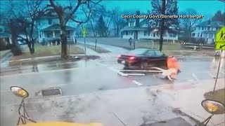 Hero Central | Crossing guard struck by car protecting student