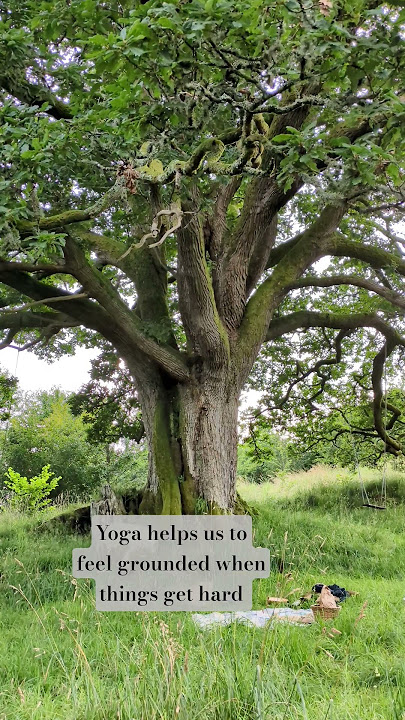 Staying grounded is vital in turbulent times 🌳 #yoga #yogateacher #grounded #nature
