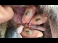 Middle of video