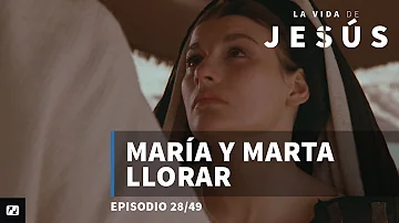 ¿Cómo demostró Marta su amor por Jesús?