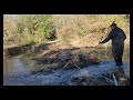 New small beaver dam found.