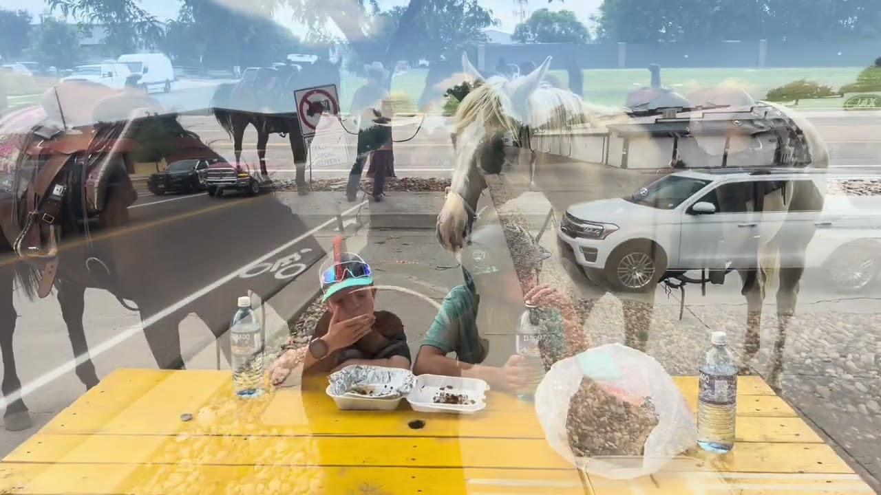 SOLD- Sugar- beginner/kid safe palomino roan mare