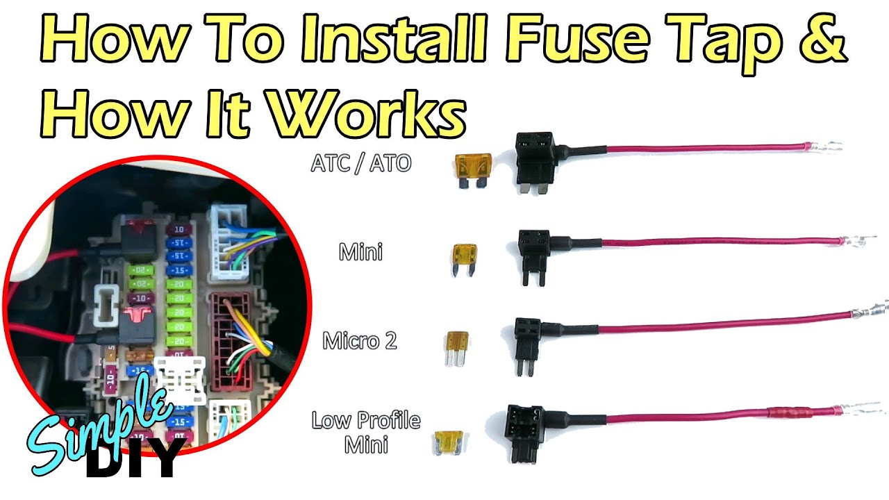 Adaptateur Fusible ATO, Mini Fuse, Mini Fuse Low Profil, Micro2 Fuse