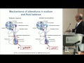 Postoperative Management of Pituitary Tumors - Kevin C.J. Yuen, MD, FRCP(UK), FACE