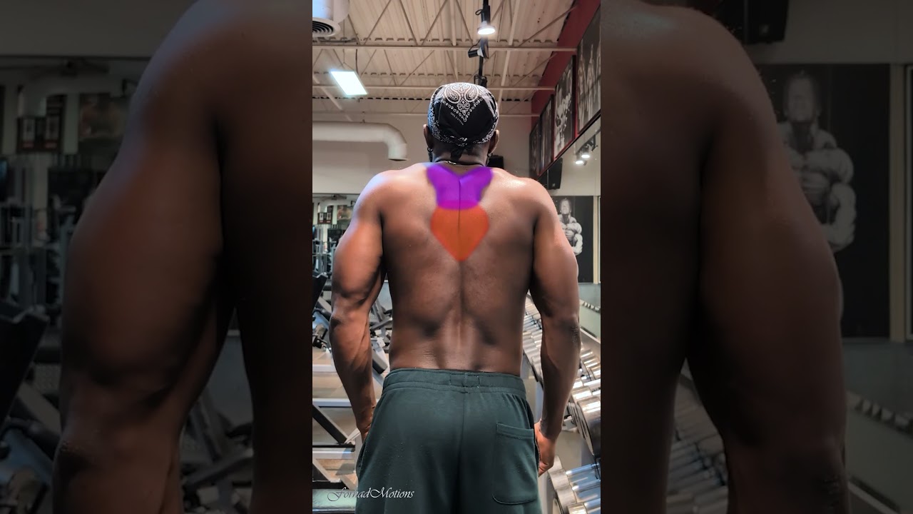 Ultimate Dumbbell Back Workout | Target Lats, Traps, and More for Sculpted Gains