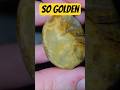 Golden colored agatized tabulate coral #rocks #fossil #agate #rockhound #Michigan