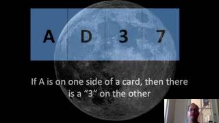 PERCEPTUAL ERROR AND TRICKERY