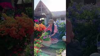 Enjoy Beautiful Nature With Rural Life  34