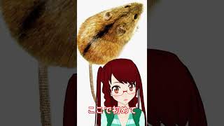 【うんざりな韓国のあの話】ハンタウィルスの名称の由来 韓国が・・・