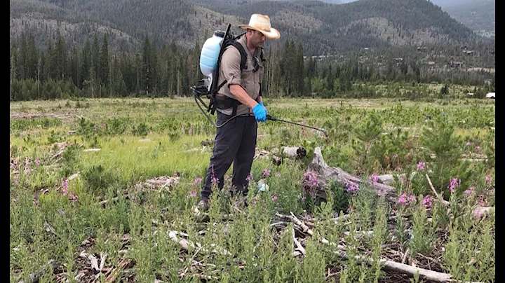 Summit County, Colorado Weed Control Program