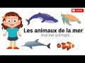 Apprendre les animaux de la mer  lets learn