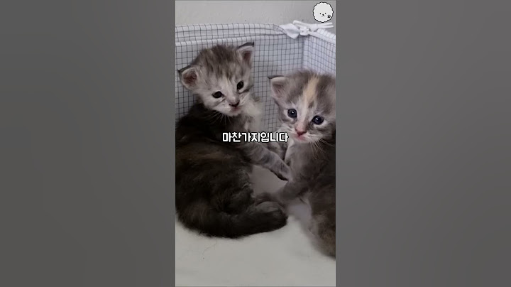 자네, 우리 서열 정리가 좀 필요하지 않나? #shorts