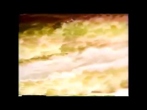 【懐かCM その5】 '89  ロッテチョコパイ