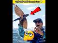 top😱 amazing🧐 facts | #facts #amazingfacts 💯 #ytshorts 🤔#trendingshorts ❤️