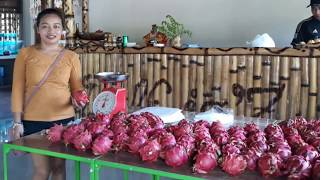 Dragonfruit Farmat Delcioz Resto &Cafe.