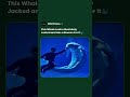 This Is Why Sailors Thought Belugas Were Mermaids #shorts #whale #animals