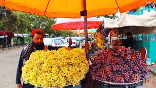 Afghanistan Grips and other Fruit Market | Afghanistan Logar | WATCH AFGHANISTAN