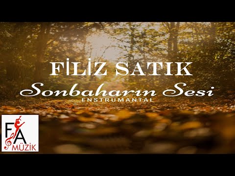 Öfke -Sonbaharın Sesi