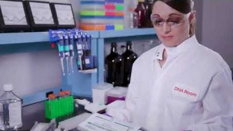 Host Cell DNA Extraction Methods