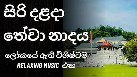 Daily Dose of Calm – Siri Dalada Healing Music🙏🙏ලෝකයේ ඇති Relaxing Music එක කිව්වොත් නිවැරදි