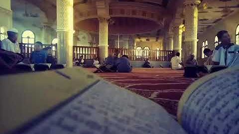 تلاوة من صلاة الفجر _مسجد الامام مالك _ الشيخ امين كاتم