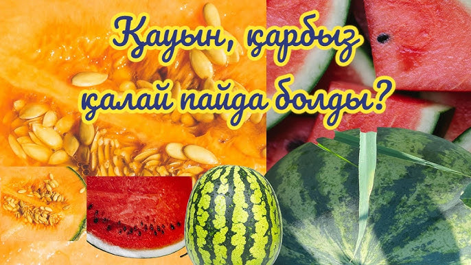 Минет Одинцово Жыныс арқылы төсектегі секс