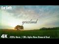 432Hz Music to Protect Grasslands | 4K Relaxation | 10Hz Alpha Binaural Beat