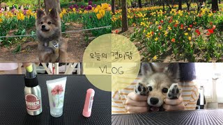 애견미용학원VLOG] 애견미용학원|브이로그|반려견|서울숲|나들이vlog|폼피츠|아로마테라피|오늘의 견미담