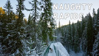 Snowy Serenity: Exploring a Nature Reserve on Foot