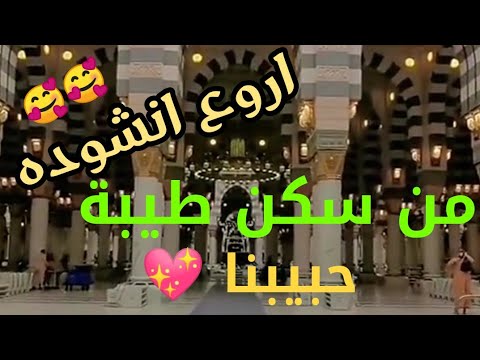 اروع انشوده من سكن طيبة ألف صل الله على قمر الكمال حبيبنا روعه