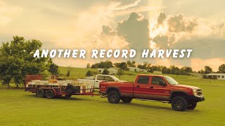 Largest Ever Honey Harvest (Part 3) Moving Buckets and Boxes
