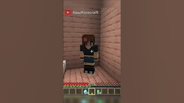 Minecraft Memes Hồng Tỷ Và Cái Bí Mật Của Cô Ấy #shorts #funny