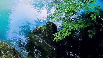 الحزب 20 من سورة التوبة(من الآية 69 إلى الآية 75) برواية الإمام ورش عن نافع @